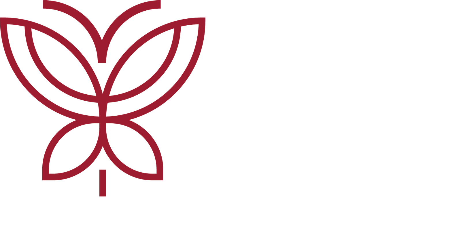 Healthy Cola